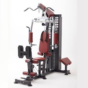 2 station multigym