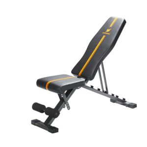 Bench Adjustable dumbbell sit up bench